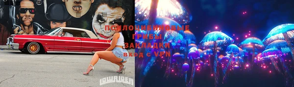 мдпв Медвежьегорск