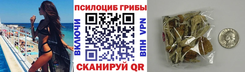 купить наркотики сайты  кракен зеркало  Псилоцибиновые грибы MAGIC MUSHROOMS  Мещовск 